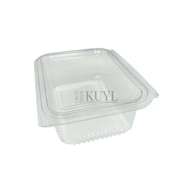 Bak met deksel PET cristal G1000