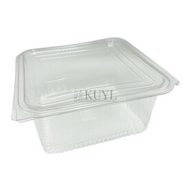 Bak met deksel PET cristal G2000